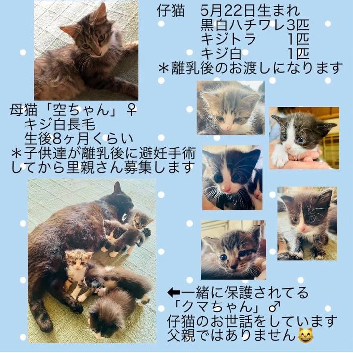 43bb724d 454a 49ee a388 df88258dc9d1 1726492528421