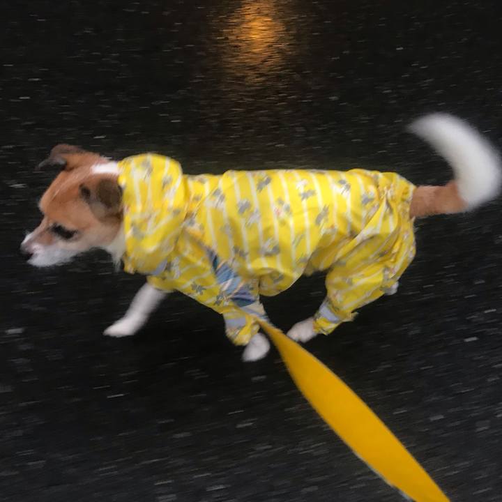 43bbdd13 2c18 490f af8f 9a1f0ee87c42 1538263994535