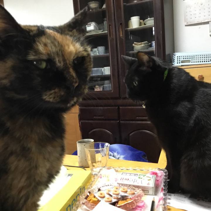 43bbdf7f 7225 4d9d 8927 8e76565305a8 1513248989144