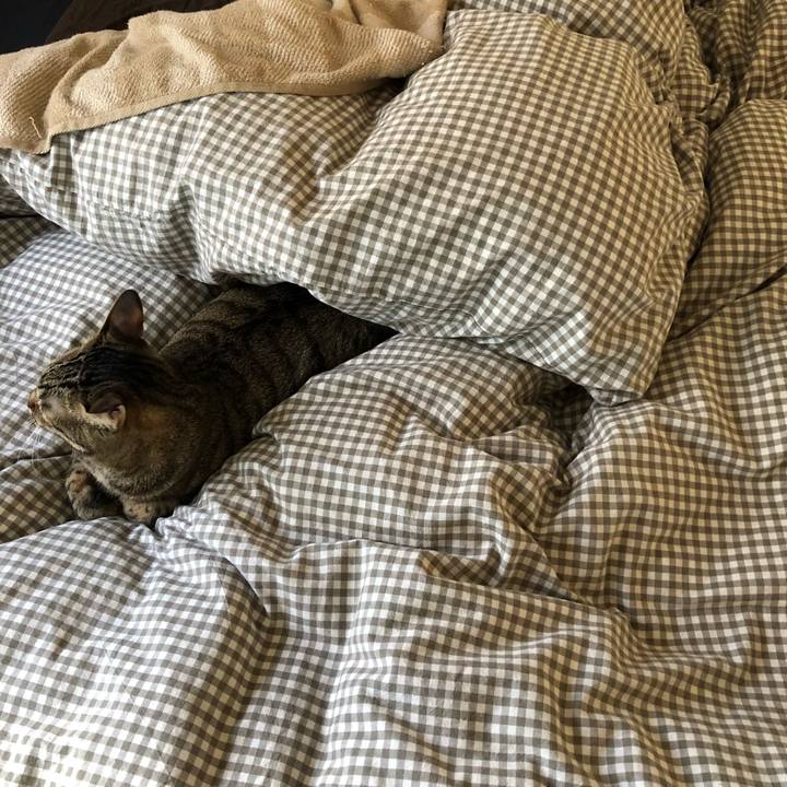 43bbdfa0 4ab4 4a87 b26c 3b7c1f81e806 1516882428263