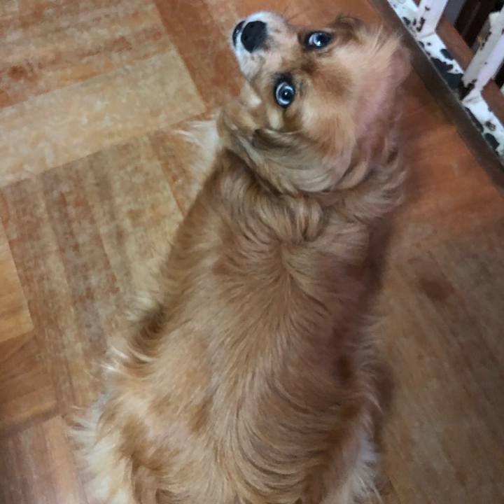 43bbe653 fcf1 4032 9c60 dbc01665255f 1561933009845