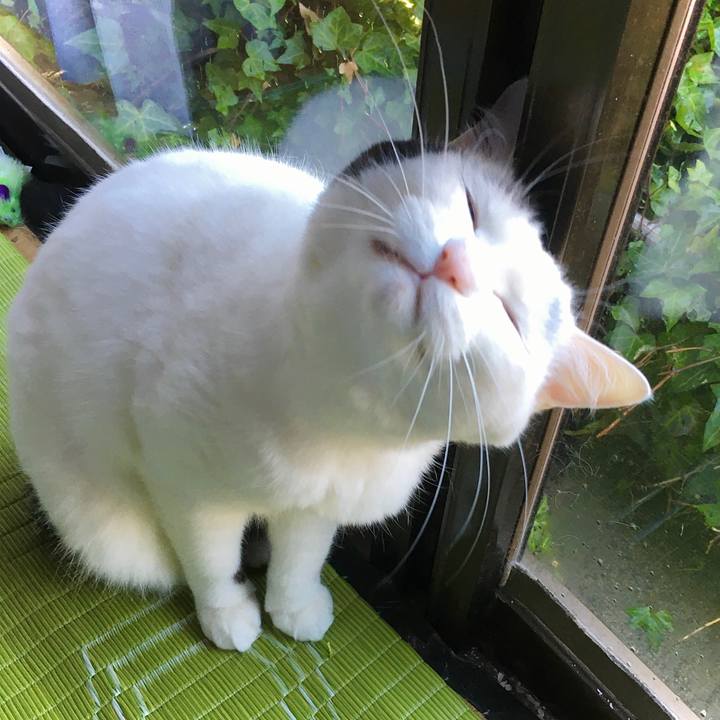 43bbfdde d53f 4a01 bc8e dee0f26a8391 1617002820828