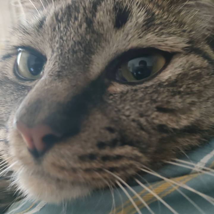 43bc572f 9efd 474d a1db 978fcd488d29 1747121351337