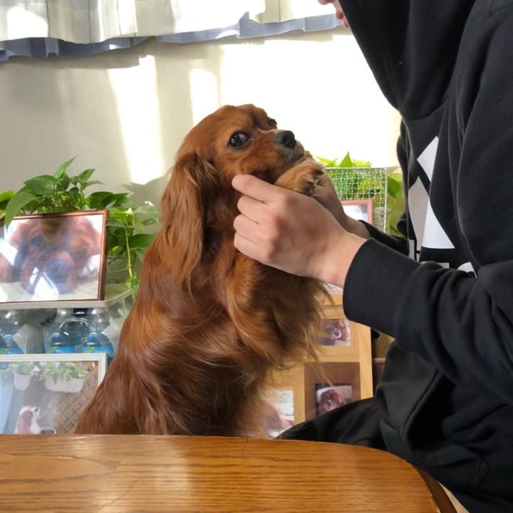 43bc7560 e5b7 4ed7 8876 4d3b825dd9ad 1585173169604