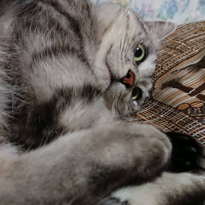 43bc8556 55c2 4f4b 9538 4ac486595657 1553080459702