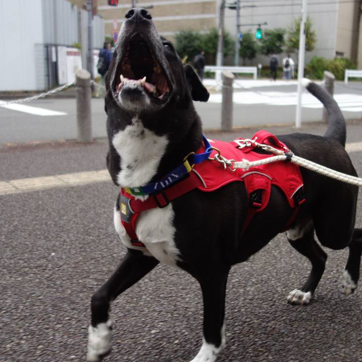 43bc9fc6 0dd6 4ff8 ac87 4a452e47bc47 1666569161292