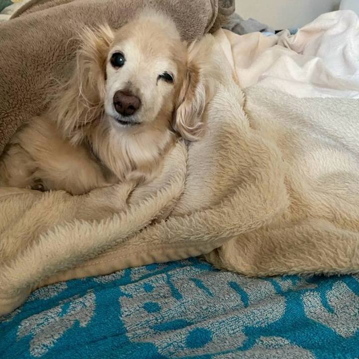 43bd47ee 5f04 4495 be4a c7ab5c56f63c 1772528417503