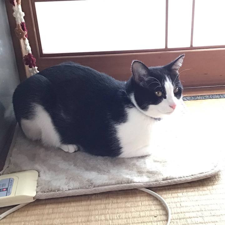 43bd49af fed1 4123 a8c7 7e81fea1b55d 1642401232033