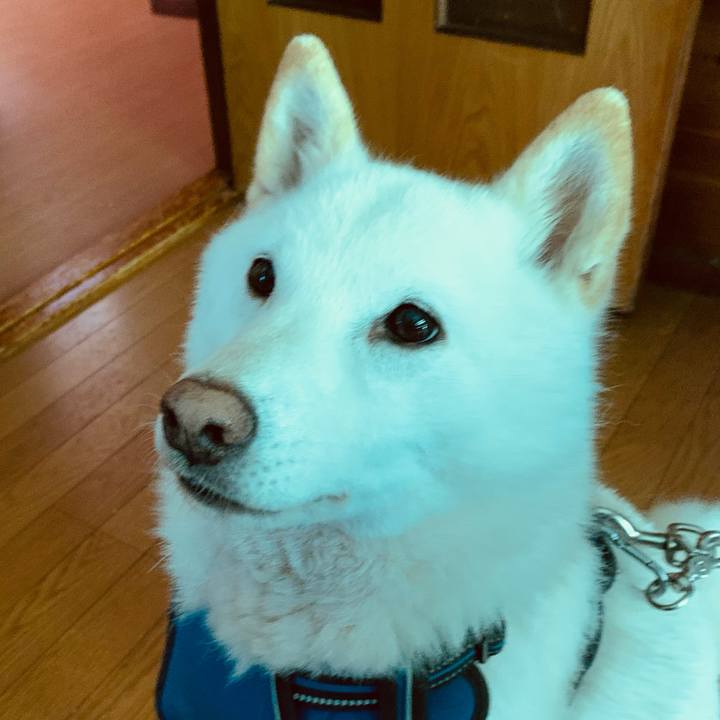 43bd4bdd 1119 4133 b075 594a98a0bd75 1623961841546