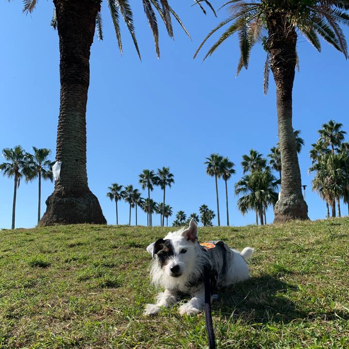 43bd5a7a 82d3 464e b421 c2805fc4c105 1667435866533