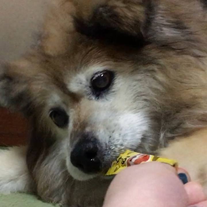 43bda14e 5ad7 4ac2 bada 4b6ac713db7c 1593175647160