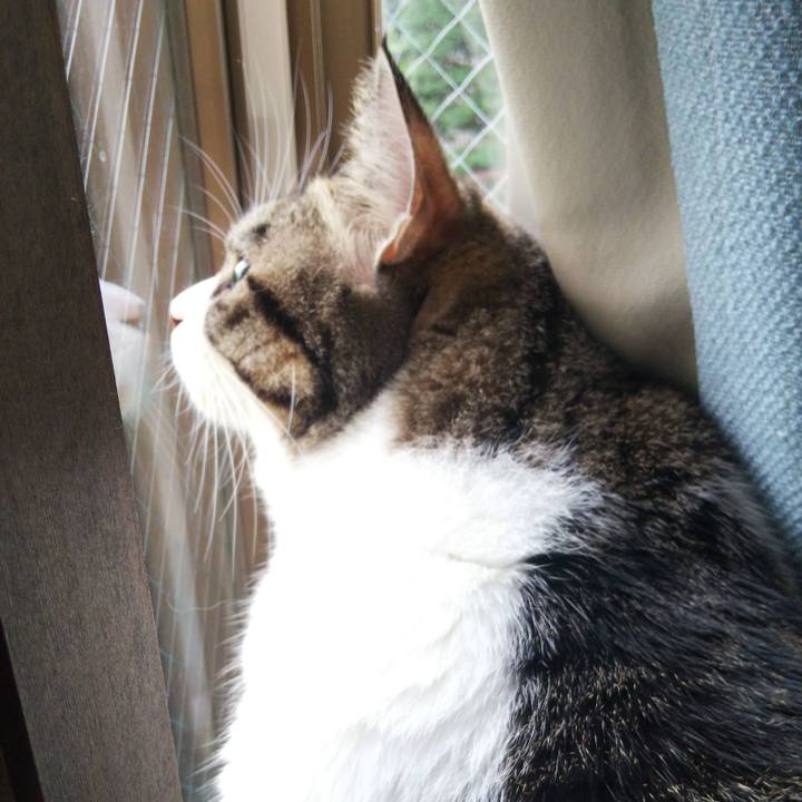 43bdd421 2947 489a 8f42 956819b780cd 1661675634712