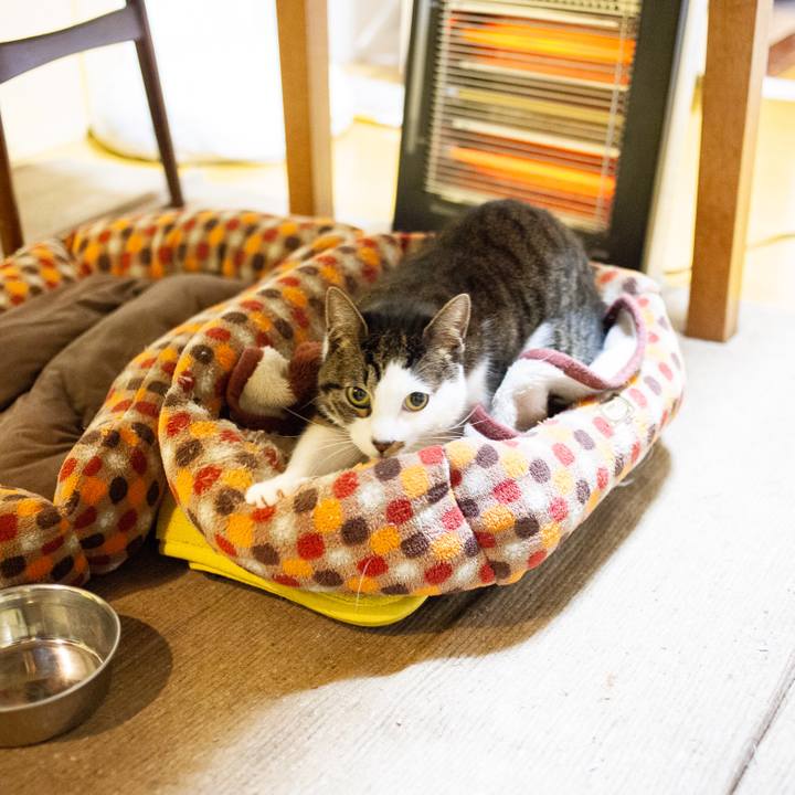 43bdda01 438b 484f 9593 29661d9290e6 1551938288601