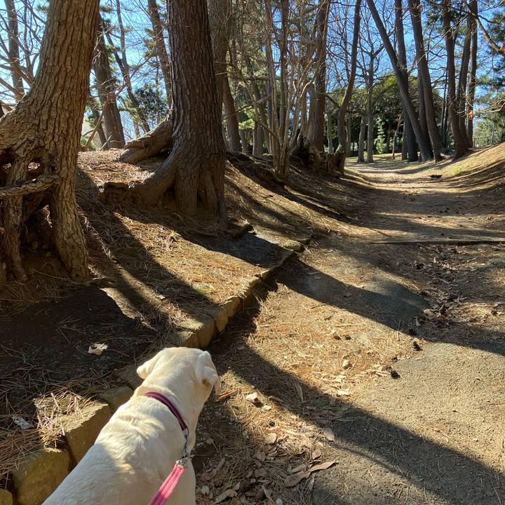 43be0a9b b007 401e 9a7f 4eb956545f25 1676550019964