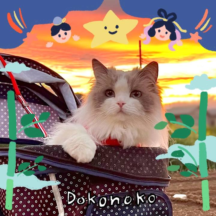 43be6942 7e7c 43ff be7a 06f17b088baa 1721030585413