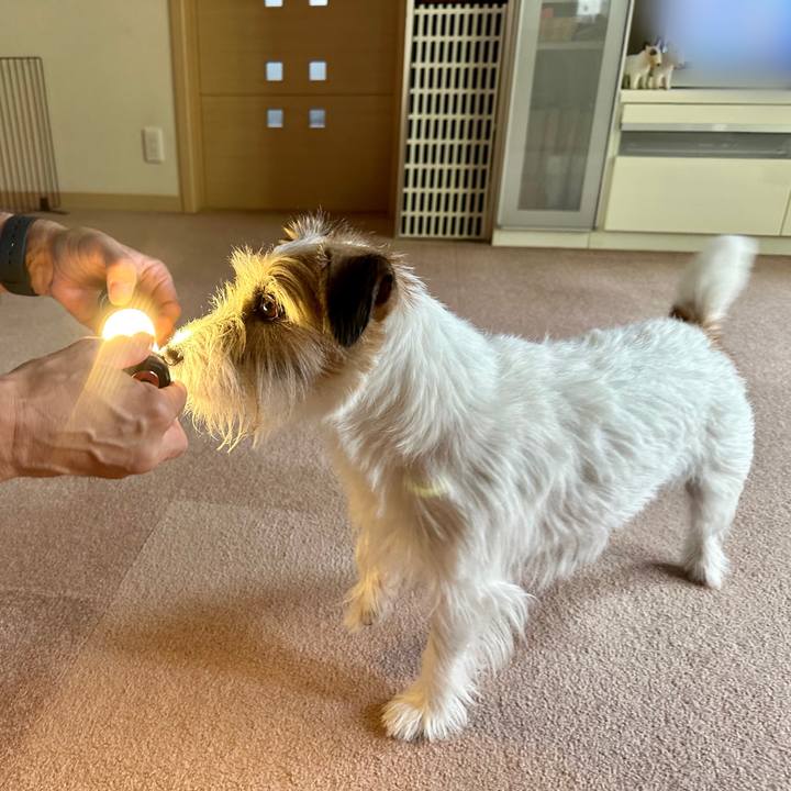 43be7f6d 5ccd 4cda ad97 50bd9bb93726 1691299213804