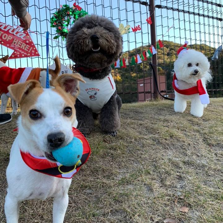 43be8d8c cebb 4d52 b01c 037079a8f9c3 1576660473832