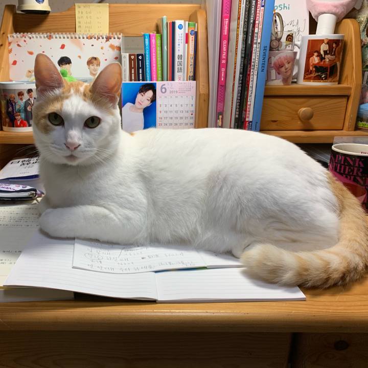 43beb9b1 0c5d 49fb b736 0d6d73c8eec3 1560178365512