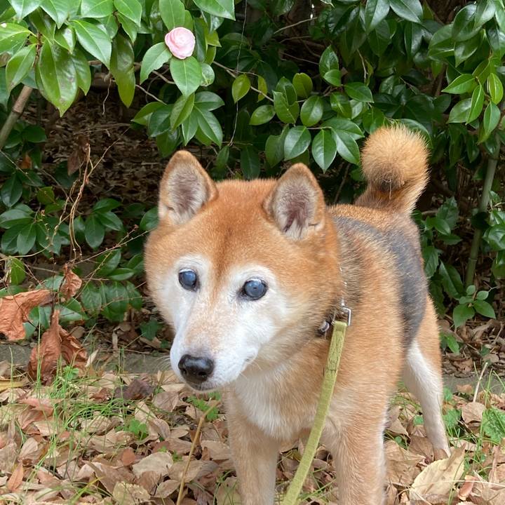 43bec19f fd95 4de3 86d4 b1d1f82be94e 1702276000297