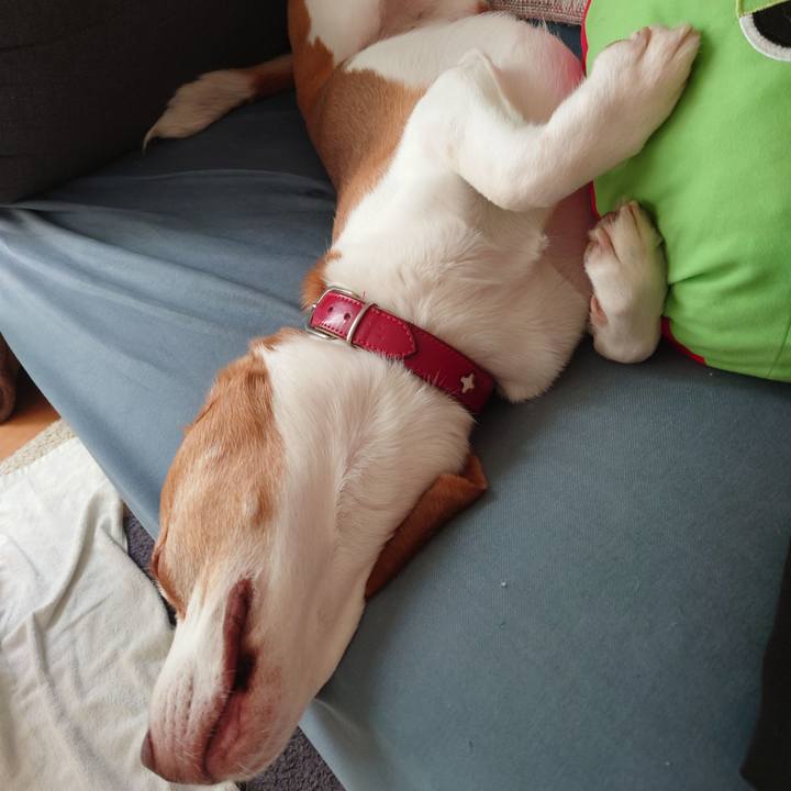 43bed190 3c2e 4168 97c9 651816afdf57 1690937137397