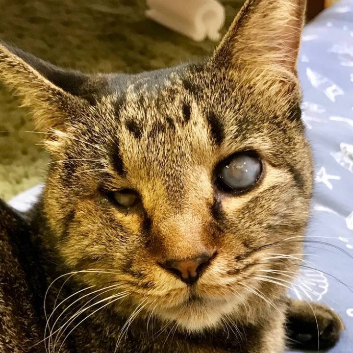 43bedcd2 ef34 466e 9203 371ba7ab630e 1697165720724