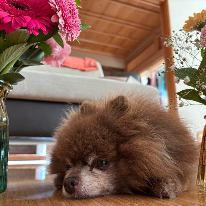 43bef980 512b 46e2 b57f 26f23ba40bf7 1761646814784