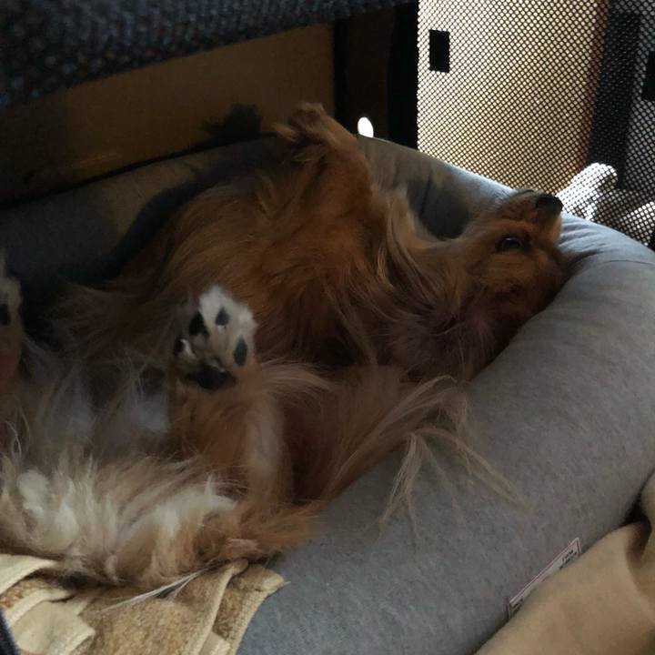 43bf0b39 f79a 419d b5c9 ecb5263c22bb 1525298217735