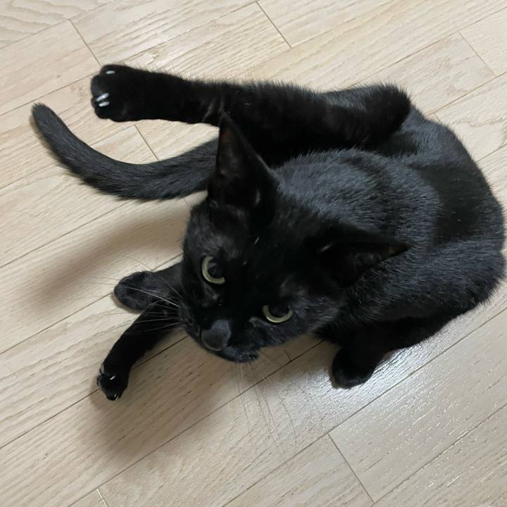 43bf138b 950c 4667 80ed 37d360e08440 1772537199752