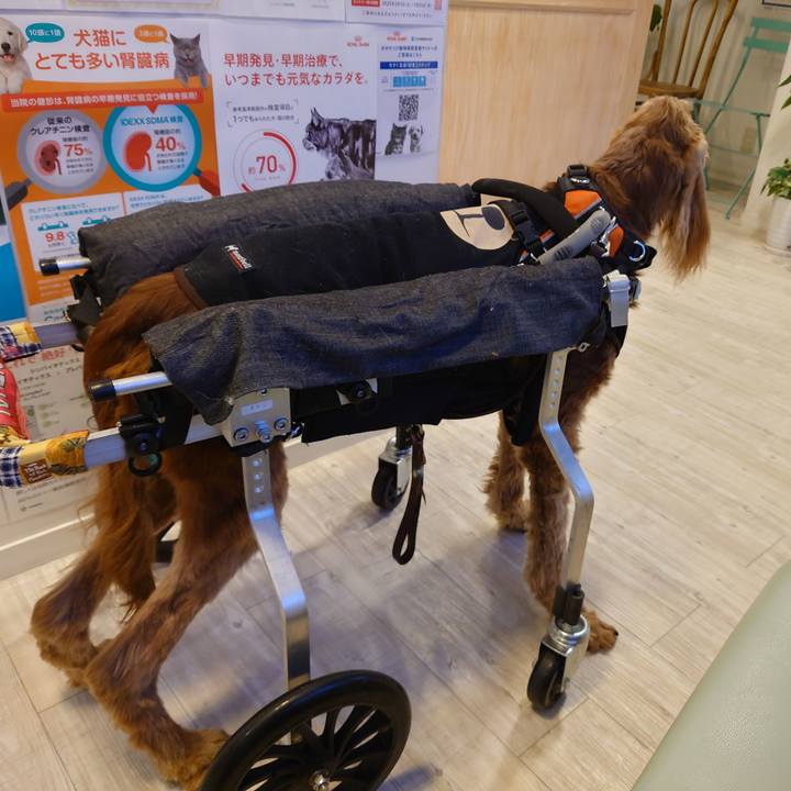 43bf7363 7bd7 4f46 a433 3a75f212573c 1745054578044