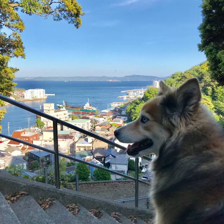 43bf753b ffe1 4254 8d7e 2c0e2114eae5 1557301773781