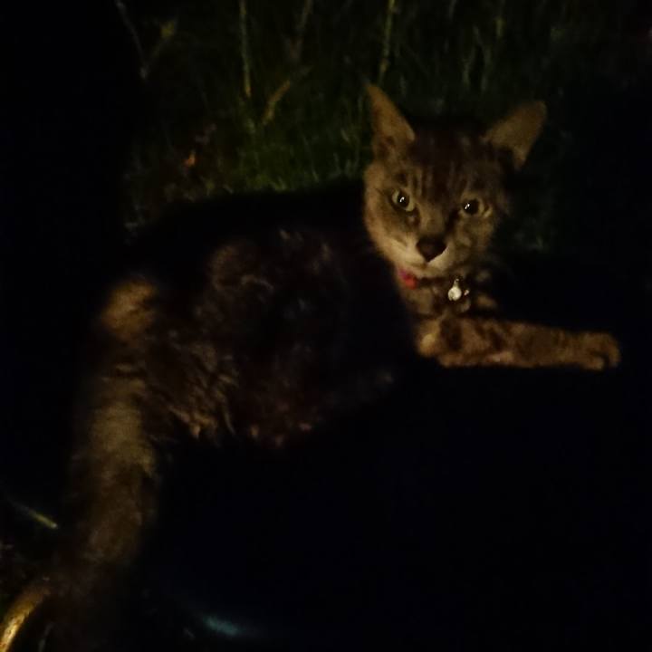 43bf8b2a 58cd 4a20 a692 61d558668d26 1598615651984