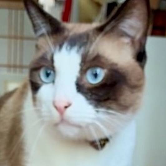 43bfa5fd a06f 4930 8ae6 7761a33255b0 1754622863787