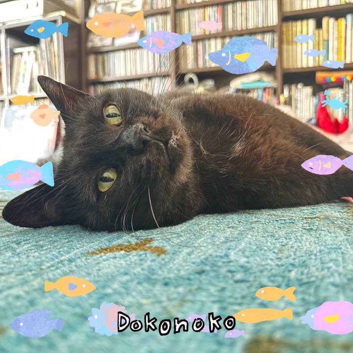 43bfb588 a40b 4b1e b3c6 6d446118eff4 1755153730998