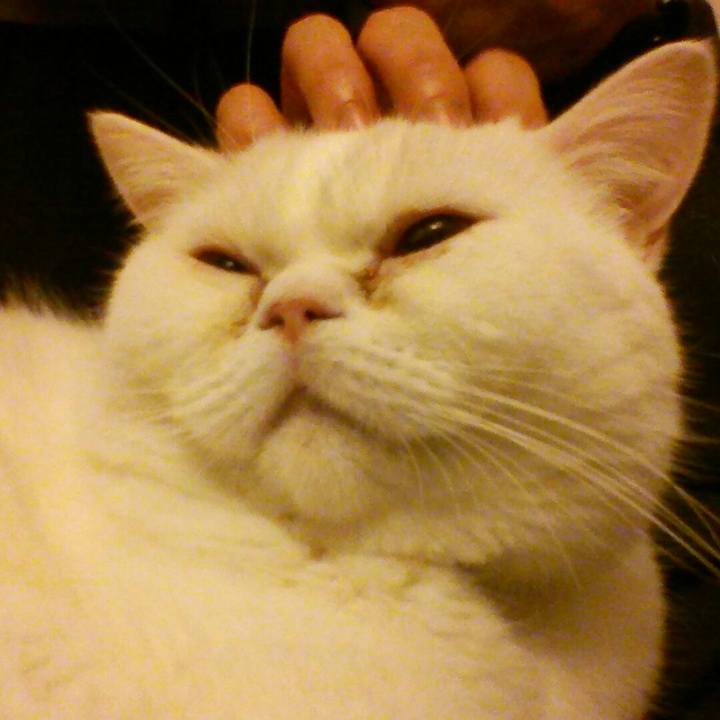 43bfd23e 1cfc 4544 9df8 6edafd8ac73d 1516280933388