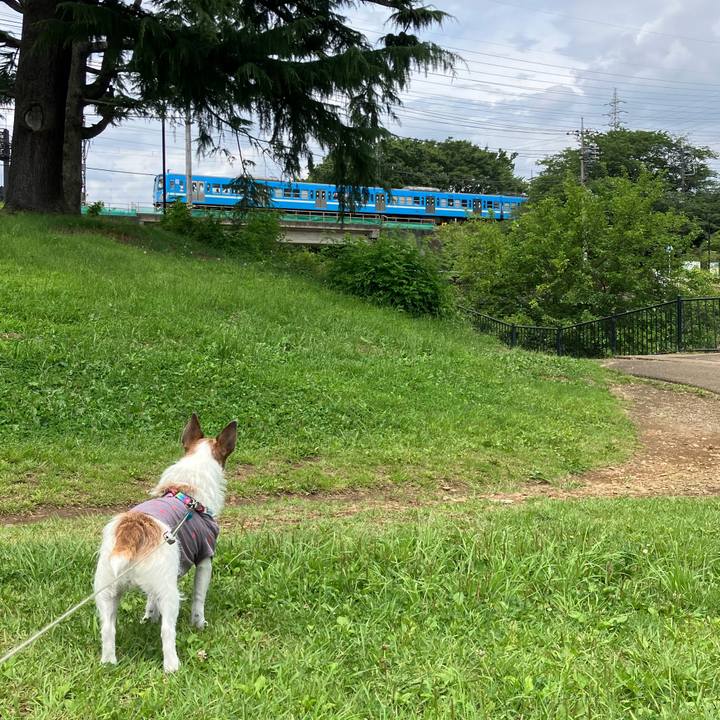 43bfd5b1 6903 44d6 8ed2 3dc92af601cc 1687734888946