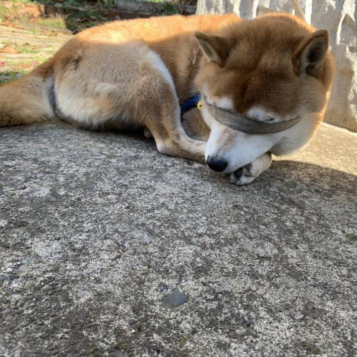 43bfe786 828f 421f 9e74 9ff3b742b766 1543290053547