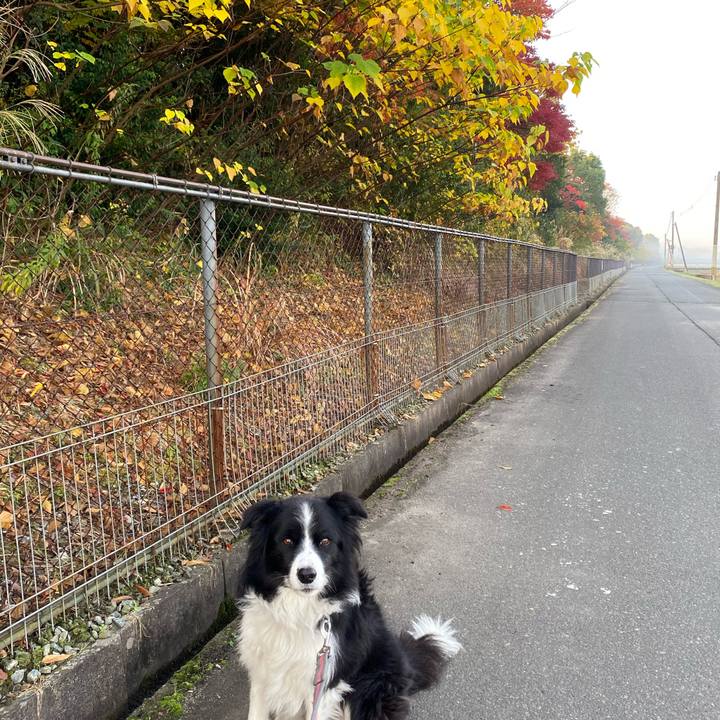 43bff4cd 0f3f 45eb 8492 68fca9129da3 1605654833806