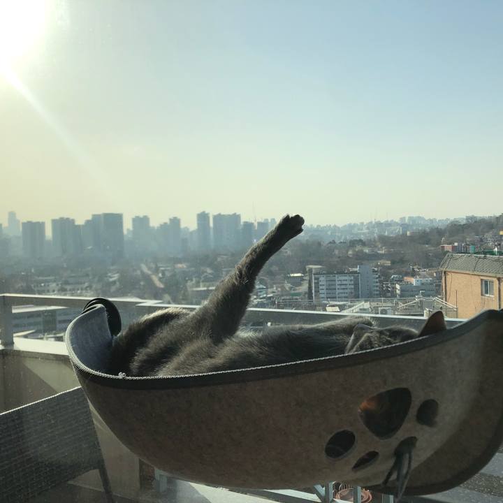 43c00fcb e484 4285 b1b6 42f2d1323781 1615967311470