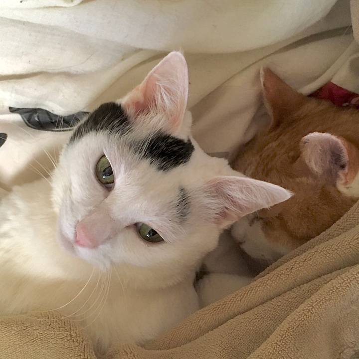 43c030e7 fce2 41a8 83cd 83ed0afce71d 1582880853757