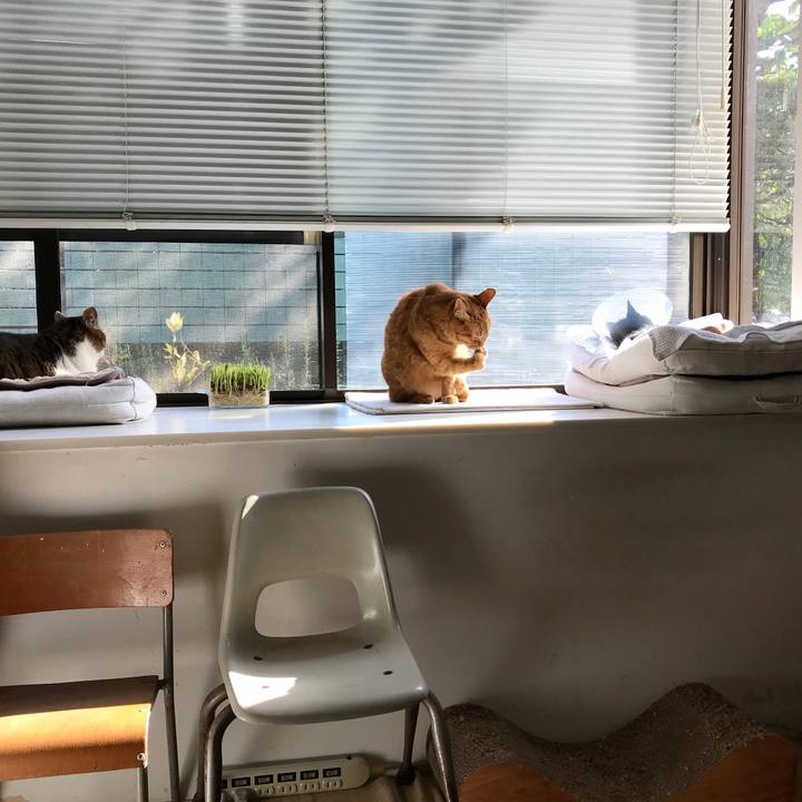 43c059f4 a951 4f40 9acc 1c58707c5080 1583112838548