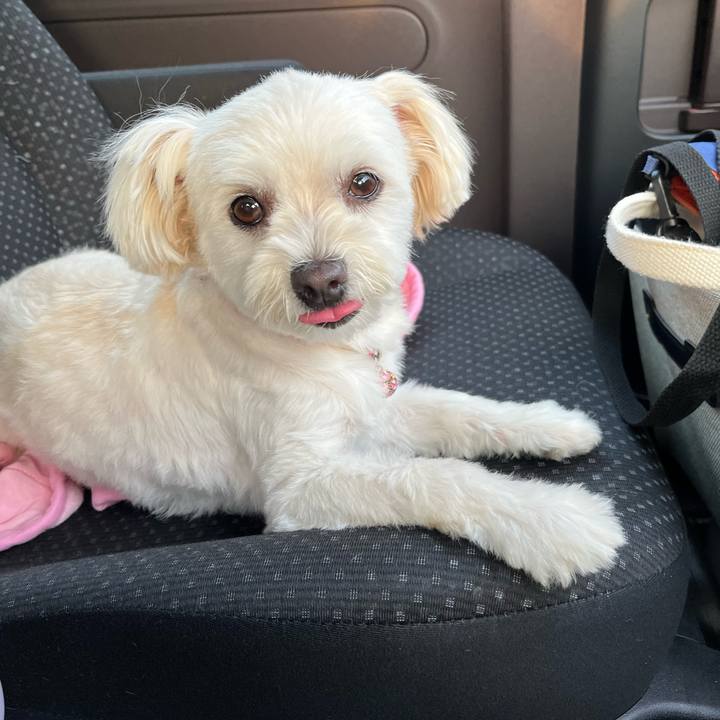 43c05b1b 6e22 4fee bd83 d9263da229e0 1659958869082