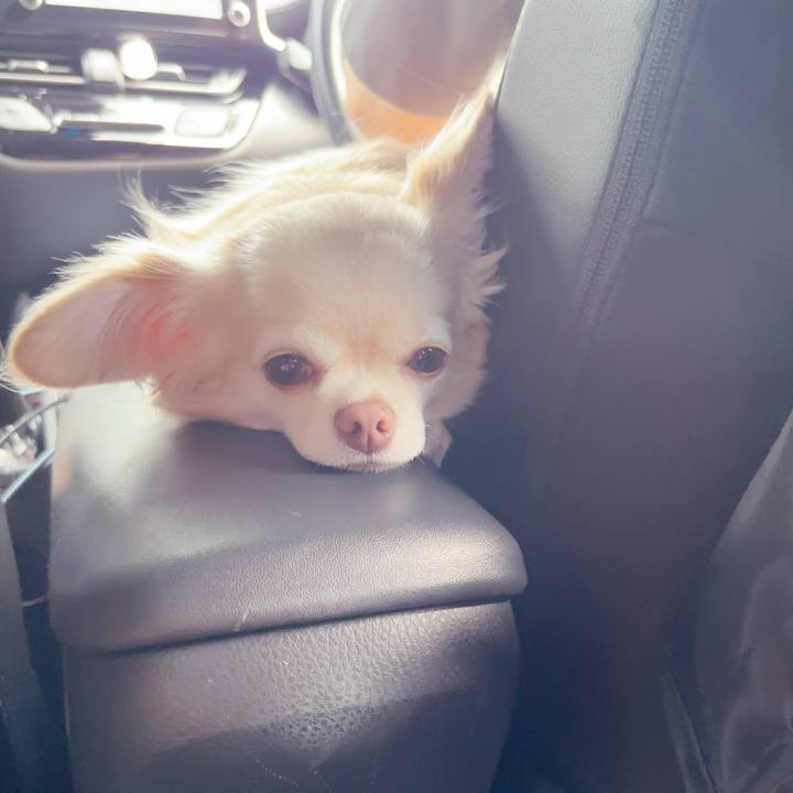 43c0bedf fb61 48ed b6c9 fc84bdfdcaeb 1753573604570