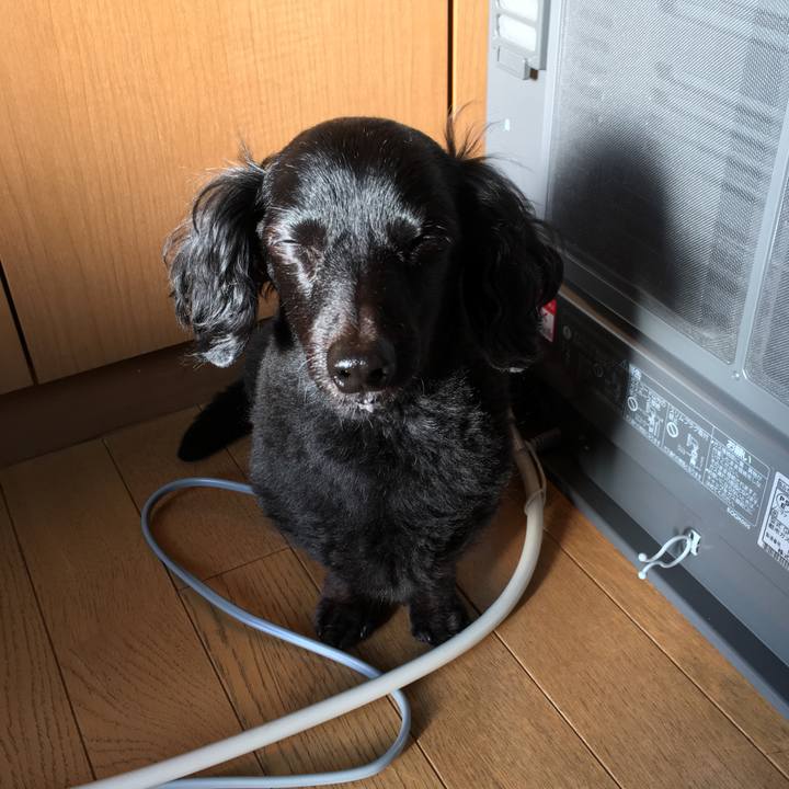 43c0c88e bebd 4490 85f3 1ef3ed395f76 1511825366559