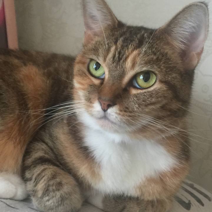 43c0ddd5 15c6 4f5d a22c 2717f24eb054 1569023308647