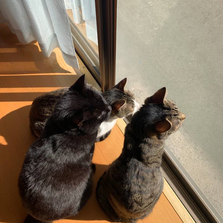 43c10d09 467e 4930 ab3f 182c30afc9e1 1580872047265