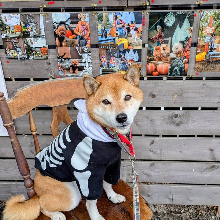 43c12dfd 5770 4bdd 80df 3bc6bdfd2598 1761396096009