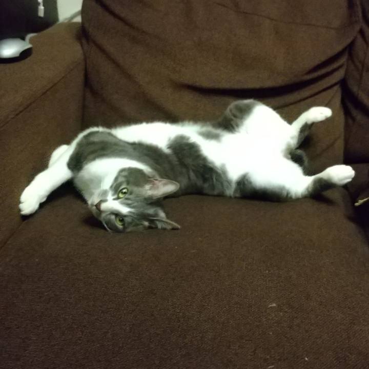 43c16de9 50af 4edc ae1a 5c90285e91c2 1618480642861