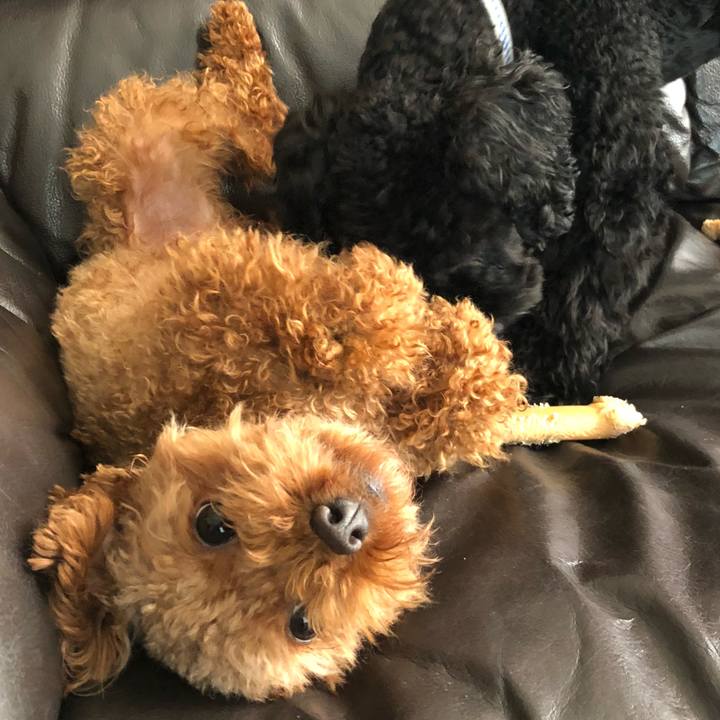 43c17203 b882 44e4 9e51 bcfa8ec6967a 1540161775608