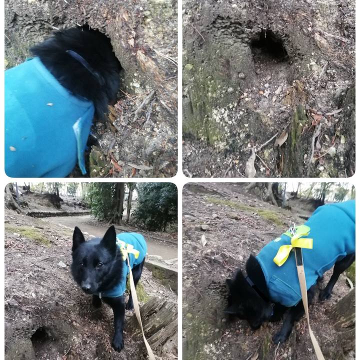 43c18859 e900 4ac3 a788 10246f82c85e 1644792072780