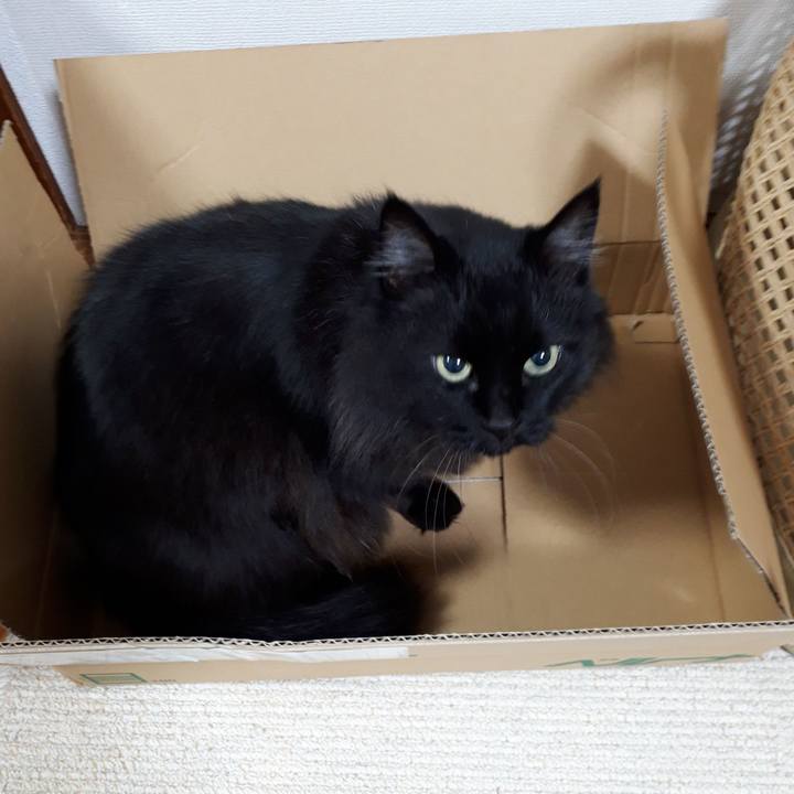 43c18d1c 46e8 4c3b 91ee 8bb4f54b10df 1519937011009